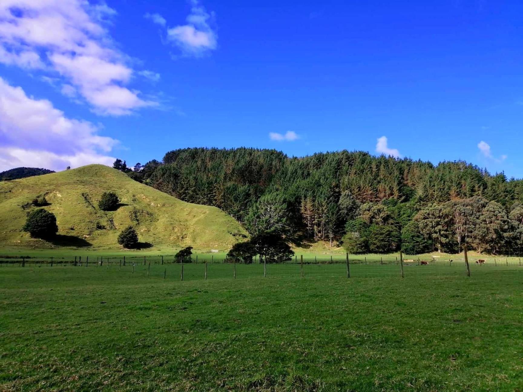 White Star Station Farm Holiday Park Coromandel Esterno foto