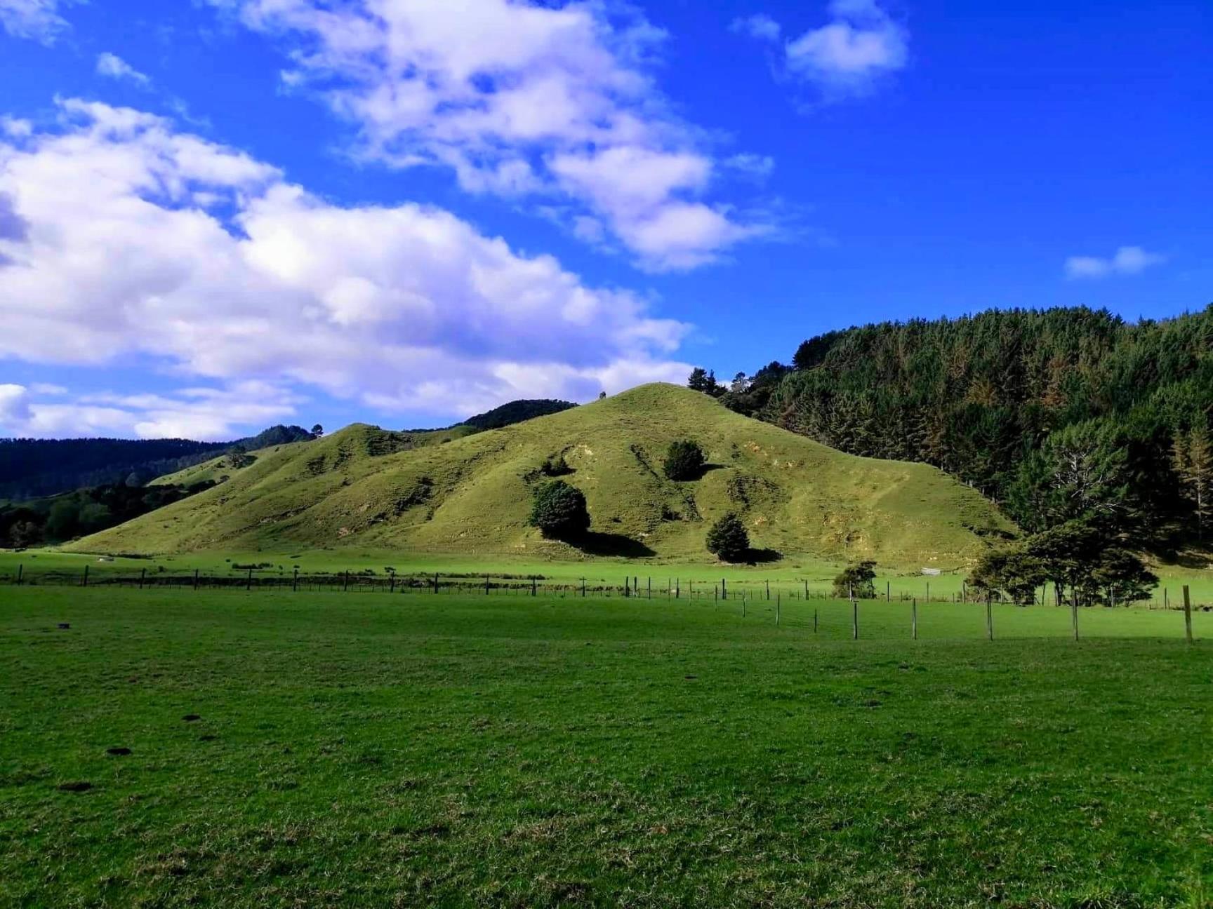 White Star Station Farm Holiday Park Coromandel Esterno foto