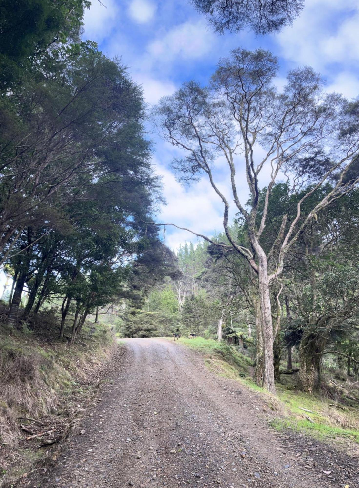 White Star Station Farm Holiday Park Coromandel Esterno foto